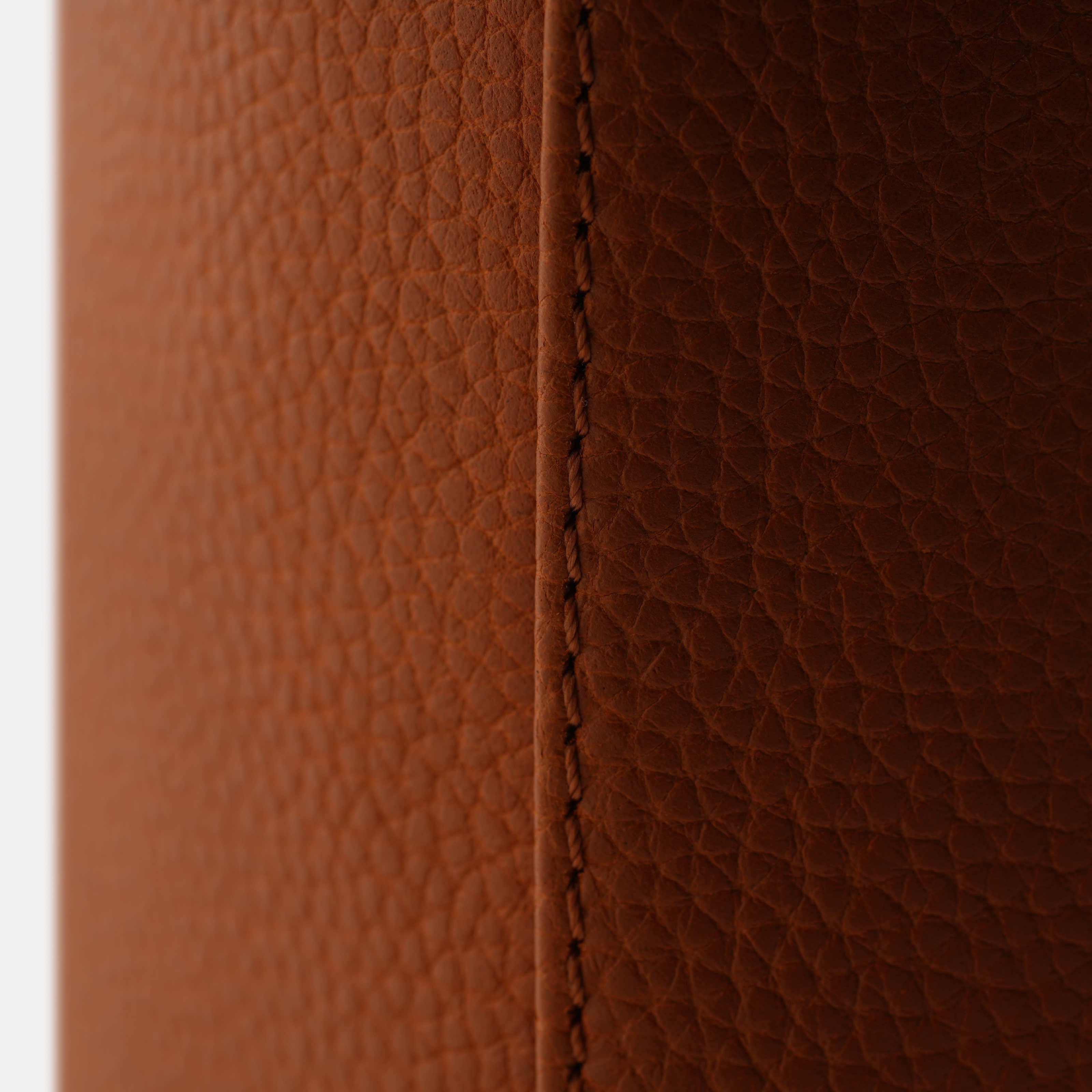 Best Women's Work Bag | #Color_Caramel